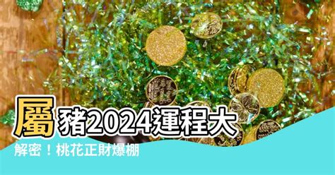 2024年豬|2024屬豬幾歲、2024屬豬運勢、屬豬幸運色、財位、禁忌